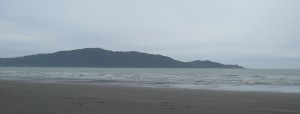 Kapiti Island